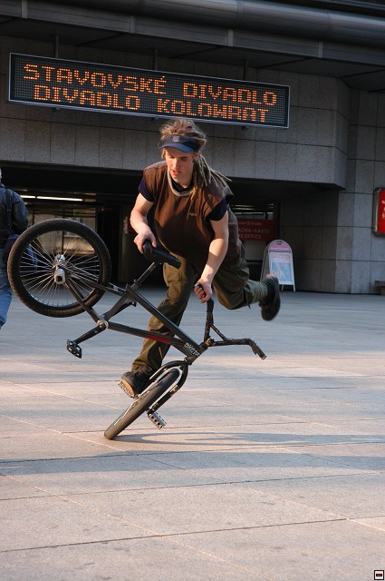 img00010.jpg