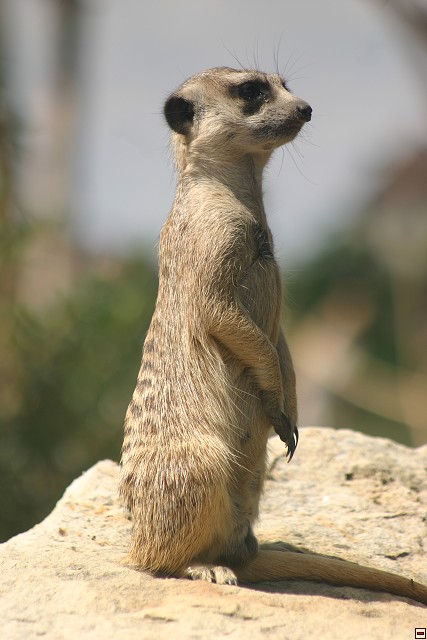 img00021.jpg