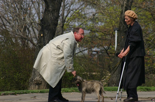 img00042.jpg