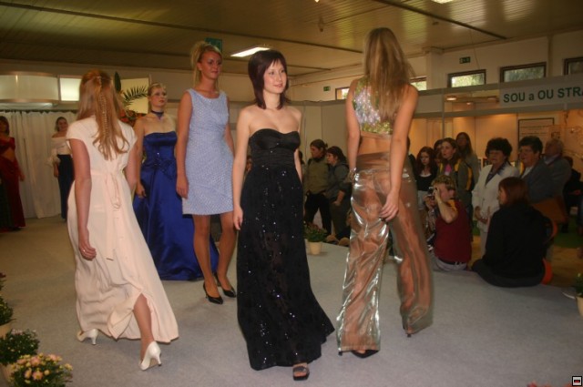 img00064.jpg